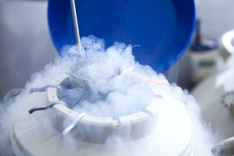 Q: 是否冰凍胚胎的成功率高於新鮮植入?